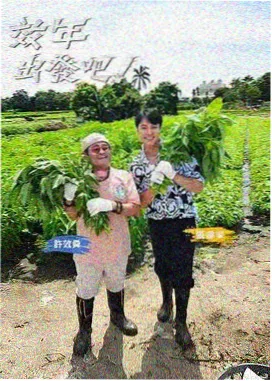 好声音第三季 杨坤战队慢歌突围